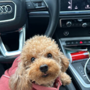 Samarskis - steam id 76561199113772111