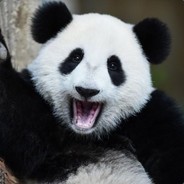 Kung_Fu_Panda_22