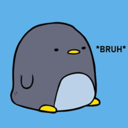 Pinguin - steam id 76561199384778550