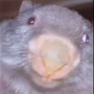 mimmi_ avatar