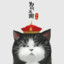 子乐
