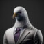 bussiness pigeon