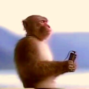 跪地三十发一发不中