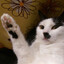 the KITLER