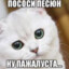 VnNk