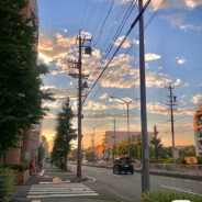 大狙沾屎  瞄谁谁死