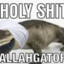 THE ALLAHGATOR