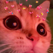 ♡ karinik ♡ - steam id 76561199635193701