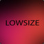 lowsize