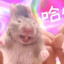 牛魔大酬宾
