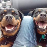 nEDZZIUS - steam id 76561197960439706