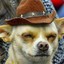 mucacho