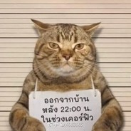 拥有人鱼线的老母猪