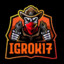 igrok17