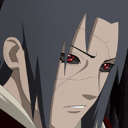 满城玫瑰皆予你