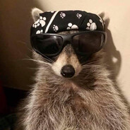 Ratinho