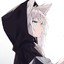 ||FR|| WolfCat