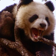 Vengeful Panda