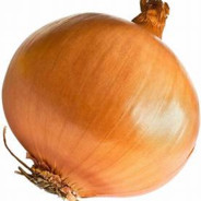 Onion