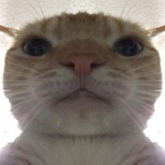 Luci avatar