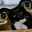 Powerducks Steam avatar