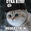 DontPeekBLyat