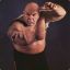 George&quot;The Animal&quot;Steele