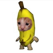 bqt0r avatar