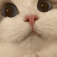 后知后觉又过了一个秋