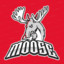 Moose