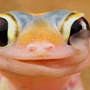 LizzarD''s avatar