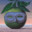 deeptechno