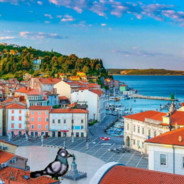 皮兰港鸽子古神