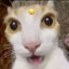 goobert