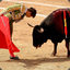 Torito