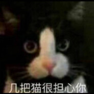 几把猫很担心你