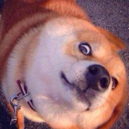 叫我黑虎丶阿龙