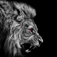 scratchiii ^^ SÄLJER REDLINES's Steam avatar