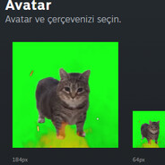 Avatar