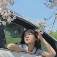 燕子333333333333333333