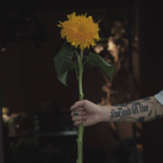 两袖清风，怎敢误佳人