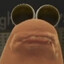 risuu