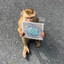 ✰ Monkie