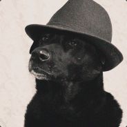 Captain Roth - steam id 76561197961411981