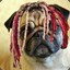 Lil Pug