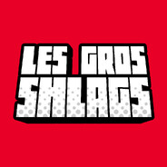 Les Gros Shlags