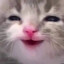 ett (happy cat)