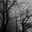 E306925cfa77cdd911681a54d5fc34718b50cdd7
