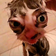 比奇堡恶势力海绵宝宝