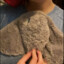 stingray lover
